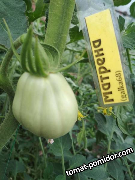 image-2019-07-02 08_39_01.jpg