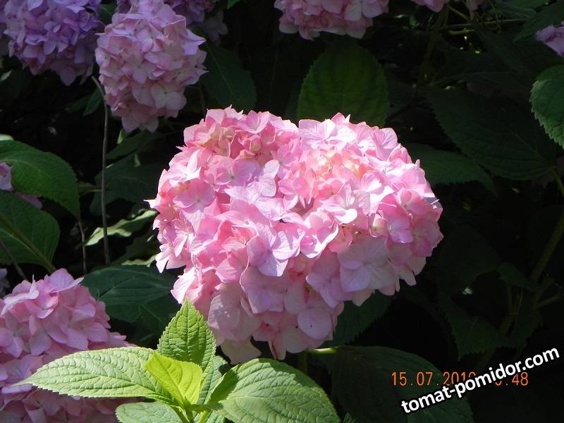 DSCN8311.JPG
