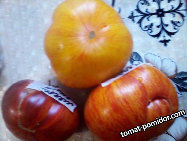 Литиевый закат и Мечта Алисы