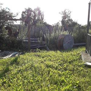 rps20190707_185447.thumb.jpg.3eb3f08c28a64c03f1fd442217098518.jpg