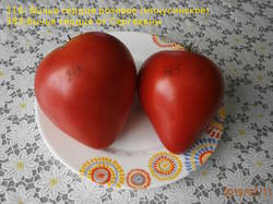 томаты-216-383