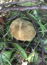 IMG_9245с.JPG