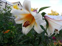 DSCN5348.jpg