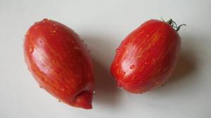 100_0851.thumb.JPG.583248f8cbb5f0cb87a461fed3ae7643.JPG