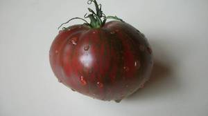 100_1020.thumb.JPG.d3fea0ea6ae954fd6f1220436c41d0fe.JPG