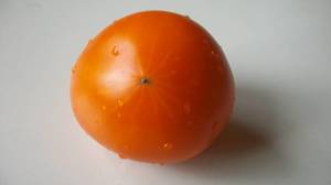 100_1118.thumb.JPG.62b4095b42e15284d0f9fabda6882b7f.JPG