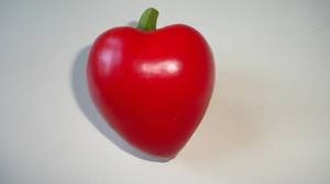 100_1226.thumb.JPG.a957ce6a40196a8b0c974ab83cd8e41a.JPG