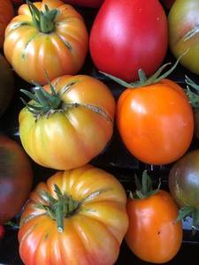 1450154244_3_Kozula141_2.thumb.jpg.cd703a1d2778f5ae4f3d3dbcc8567b2c.jpg