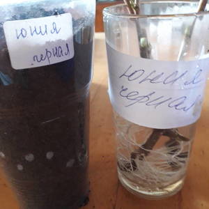 20190807_131905.jpg
