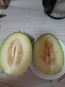 20190807_191907.jpg