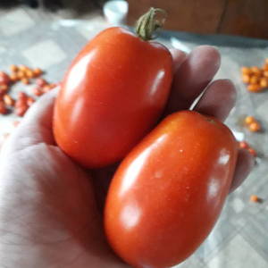 20190816_144458.thumb.jpg.26fa5be1a0597591c1bce17c7ffda28b.jpg