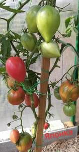 20190821_145101.thumb.jpg.f67d5bde40472e3a3c6709f574de4d04.jpg