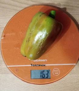 24.08.19г.Толстячок-1.jpg