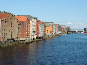 DSCN8736.JPG