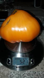 IMG-20190803-WA0005.thumb.jpeg.288bbd3bad7337d521c67b3f73b05067.jpeg