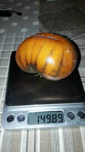 IMG-20190808-WA0007.thumb.jpeg.c36e2825bfe3e6c3c4751438519da807.jpeg