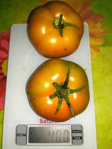 IMG_20190812_101223.thumb.jpg.fc934a2103ed5bc7f4f540d1abeadcab.jpg