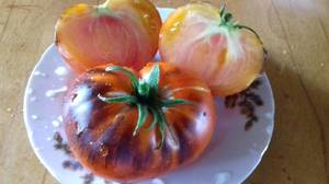 IMG_20190816_175144.thumb.jpg.b7f7c4409a687f5cd46b93e217269d81.jpg