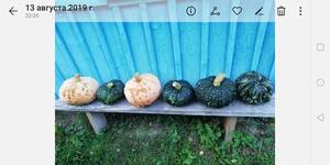 Screenshot_20190813_204217_com.android.gallery3d.jpg