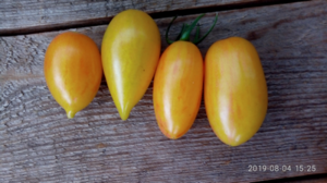 image.thumb.png.26d4d8cb8be7c5179cce40fe32c810dc.png