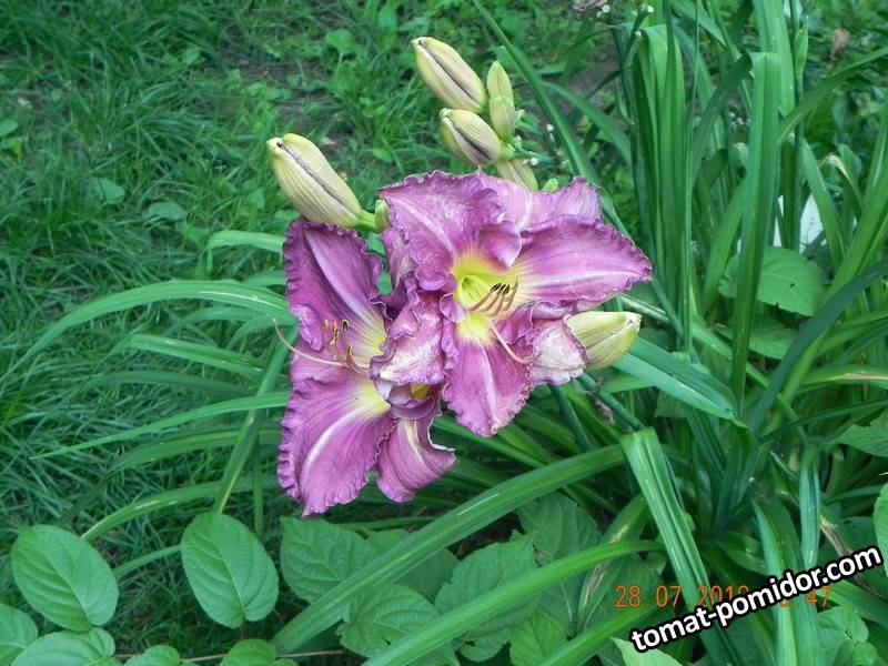 DSCN8462.jpg