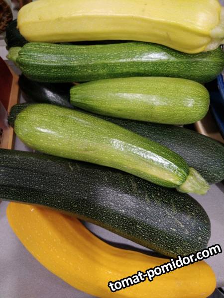 кабачки