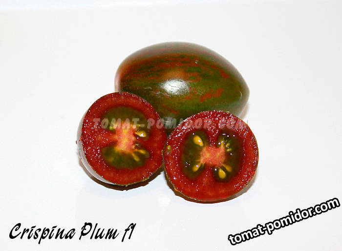 Crispina Plum