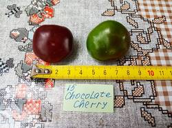 2019-08-17_15-42-23_089 Перец острый CHOCOLATE CHERRY