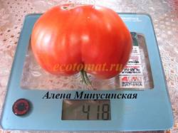 Алена Минусинская.JPG