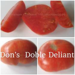 Don’s  Doble Deliant.jpg