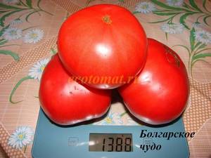 Болгарское чудо (3).JPG