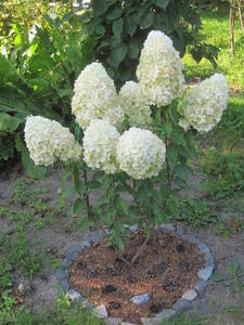 Копия IMG_1714.jpg