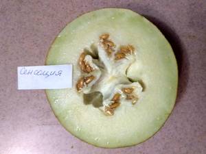 Сенсация фото 1 (2).jpg