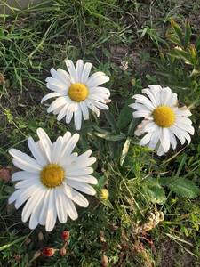 20190913_081540.jpg