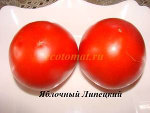 Яблочный Липецкий (2).JPG