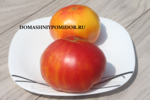 215746592_IMG_9819.thumb.png.99d5feadc58ee43d2a192bc82d4308a4.png