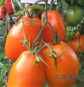 image-2019-09-26 15_51_21.jpg