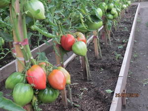 image-2019-09-26 15_51_59.jpg