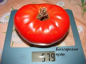 Болгарское чудо (1).JPG