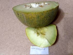 Сенсация фото 1 (3).jpg