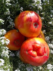 image-2019-09-26 15_51_09.jpg