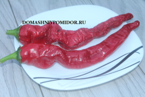 909678126_IMG_0605.thumb.png.822f1f409a159a5faaa82a9f44323ccd.png