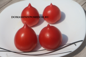 98898056_IMG_9829.thumb.png.6f8a4fd91228a275d7a0d77a19b9dec6.png