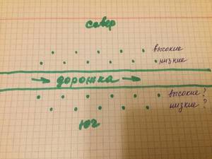 DD1340A2-B33D-4A8A-B94D-FC37F263FFEC.jpeg