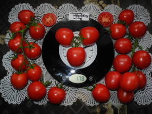 DSCN0476.JPG