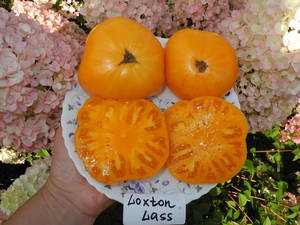 DSCN0923.JPG