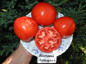 DSCN1030.JPG