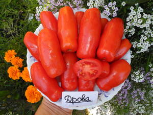 DSCN1115.JPG