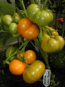 DSCN9722.JPG