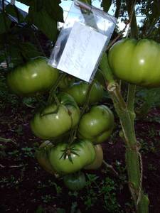 IMG_20190722_195835.jpg